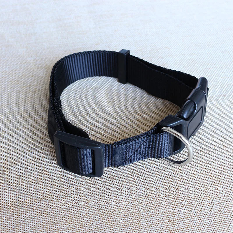 Dog Collar