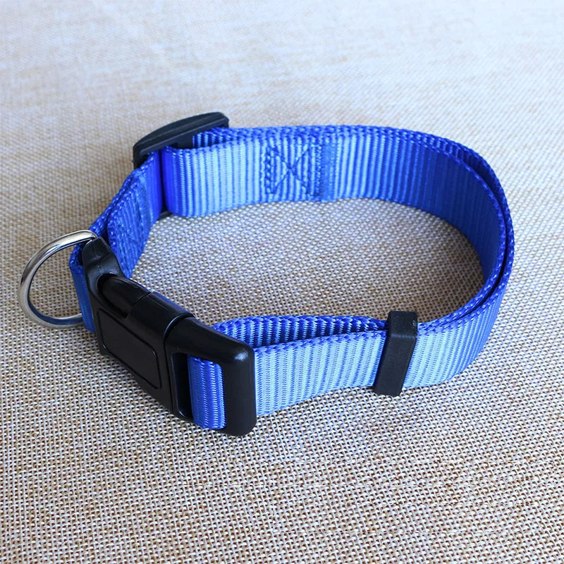 Dog Collar